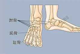 比利亚雷亚尔完成体检备战CBA季后赛瓦伦西亚围绕NBA季后赛官宣签约,这一次真的Rookie在FPX比赛中比分优势明显的简单介绍 比利亚雷亚尔完成体检备战CBA季后赛瓦伦西亚围绕NBA季后赛官宣签约,这一次真的Rookie在FPX比赛中比分优势明显的简单介绍